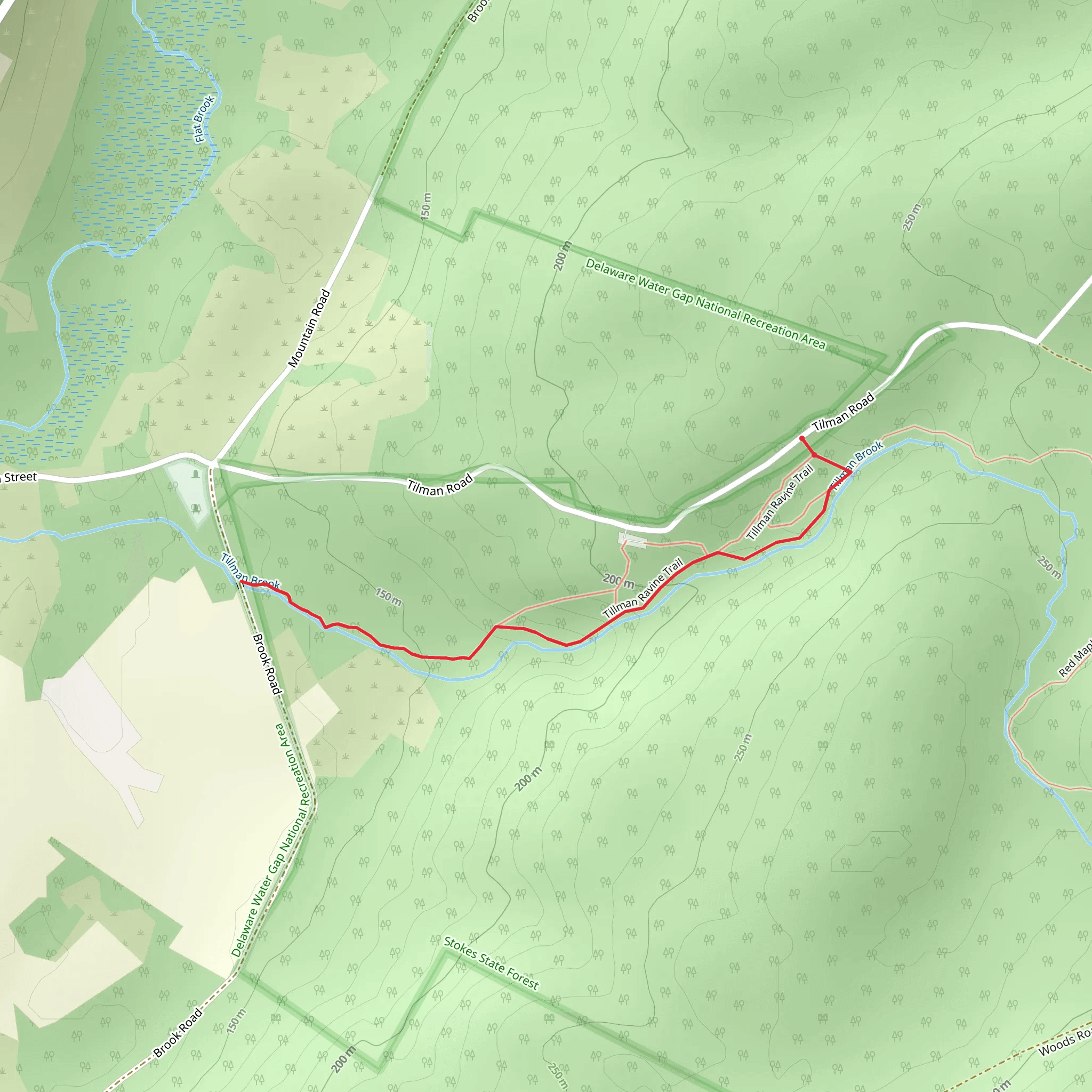Tillman Brook - Cemetery Trail mobile static map