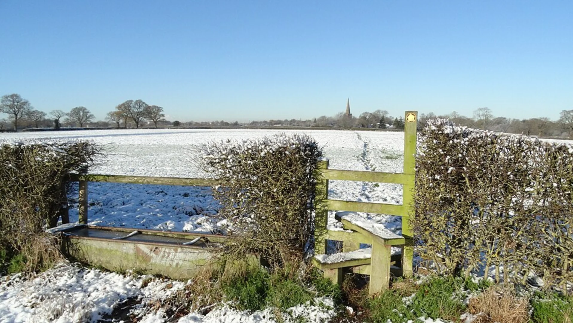 An image depicting the trail Sandbach Heath Loop and its surrounding area.