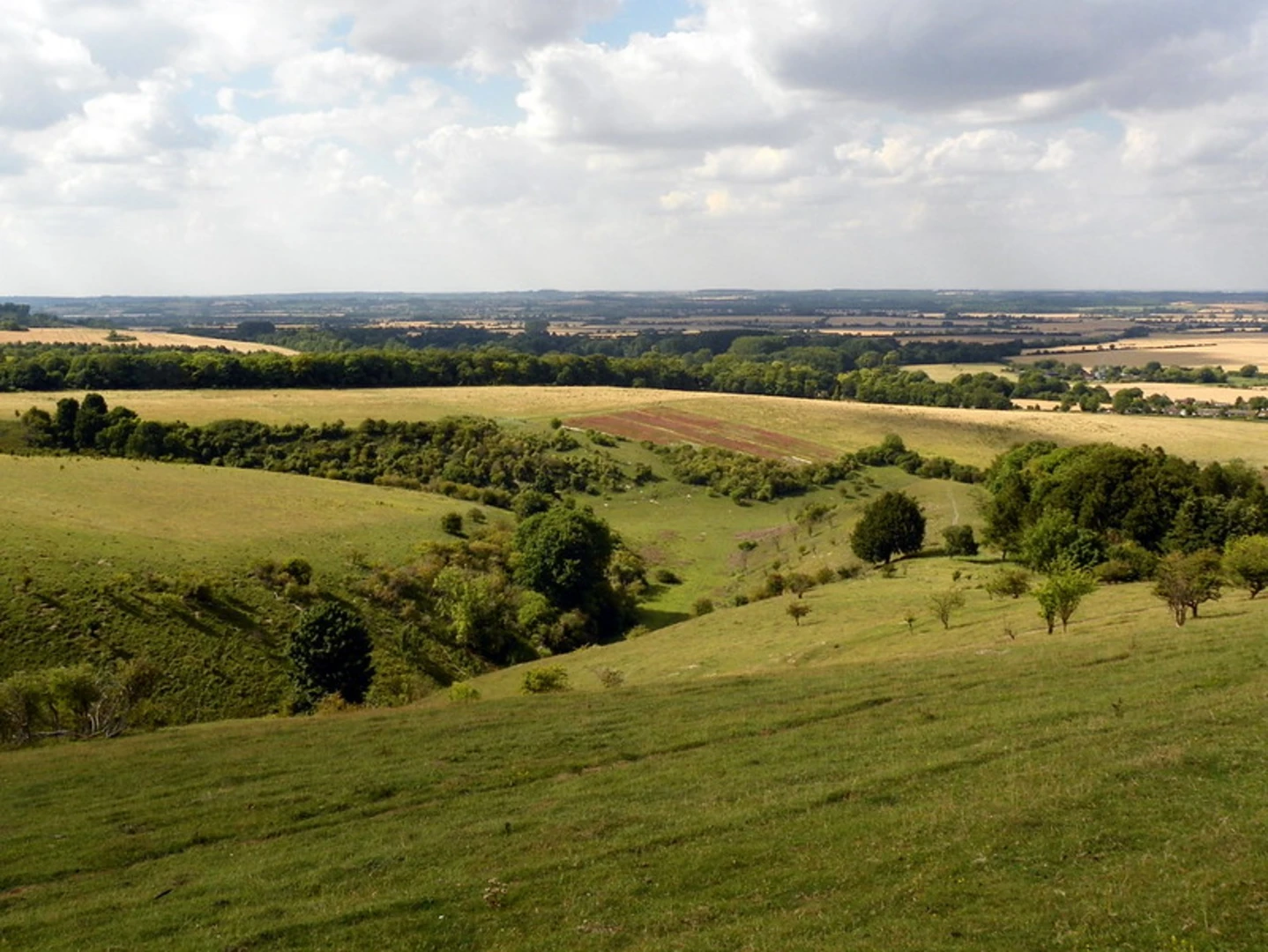 An image depicting the trail Pegsdon and Deacon Hill Loop and its surrounding area.