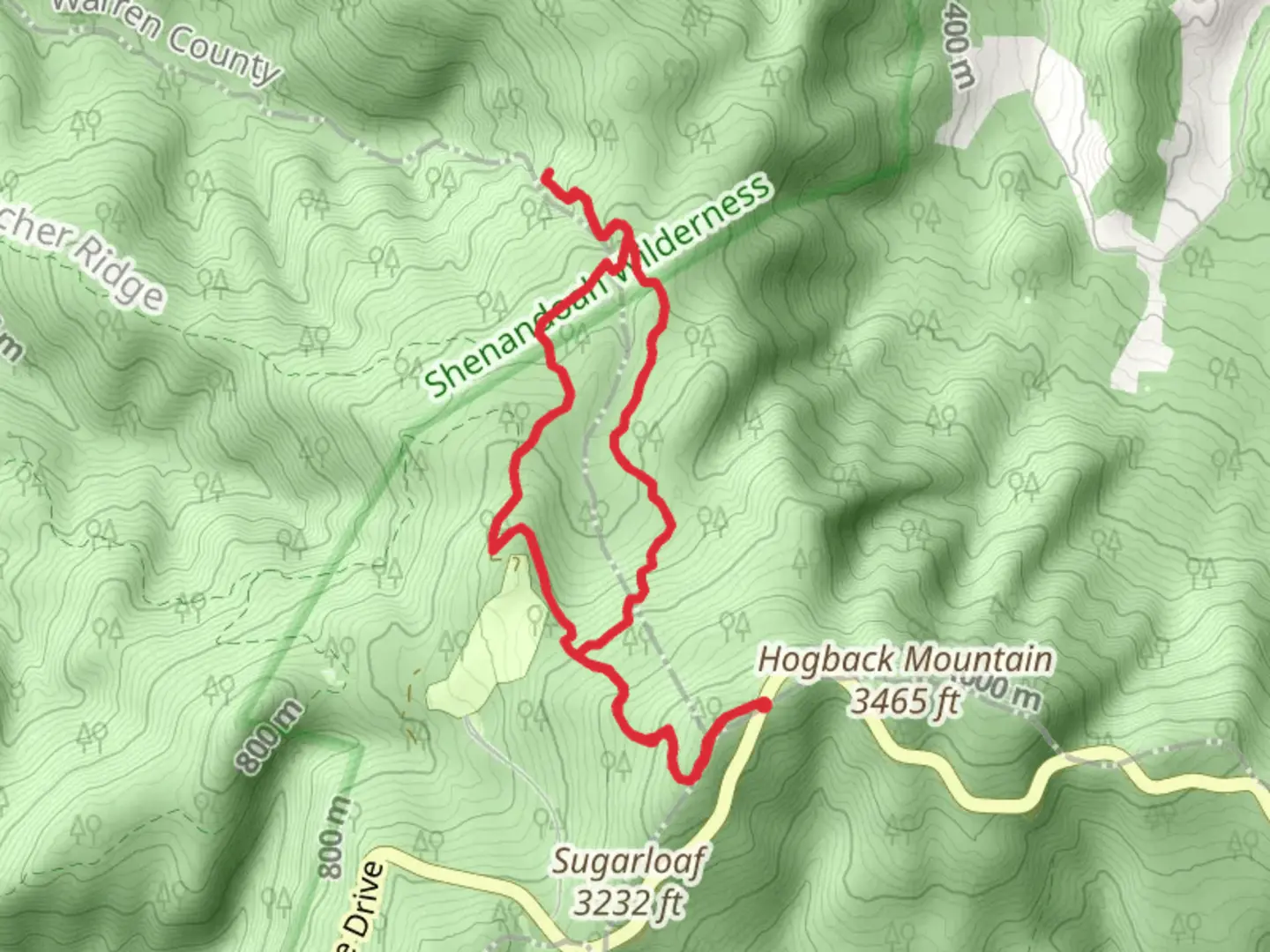An image depicting the trail Traces Nature Loop Trail and its surrounding area.
