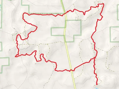 Conecuh Loop Trail - Blue Lake