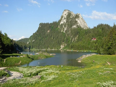 An image depicting the trail Chemin du Lac de Taney and its surrounding area.