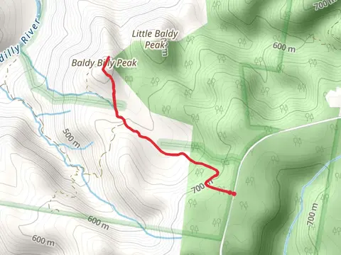 Baldy Billy Peak Track