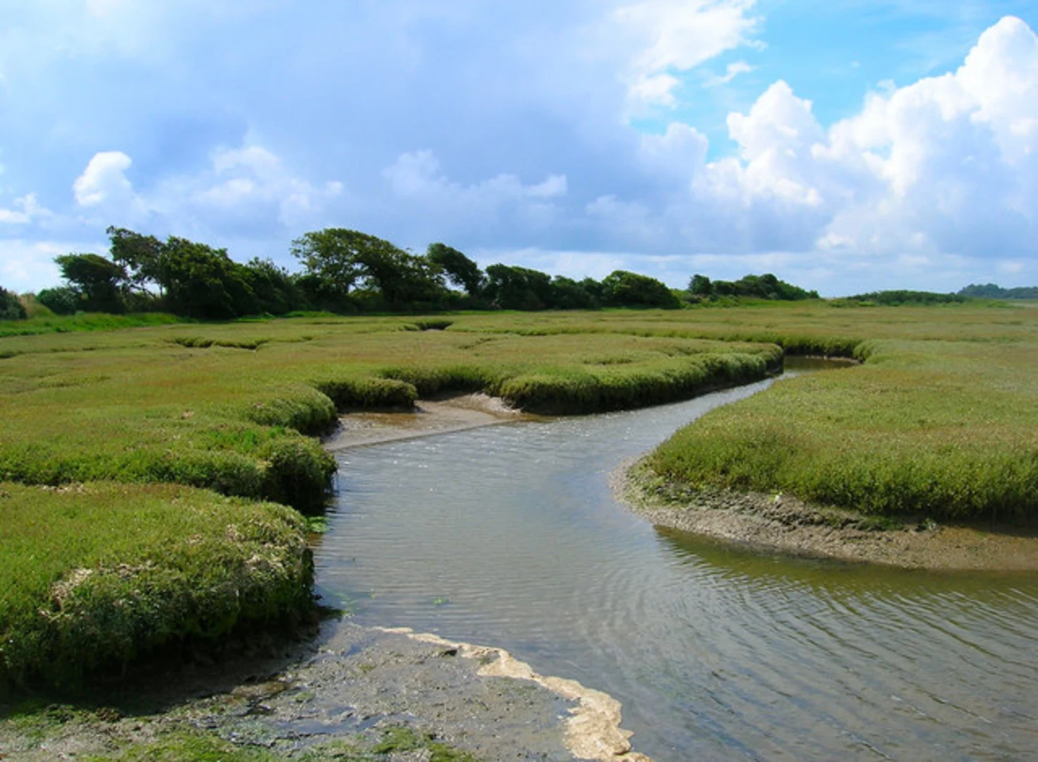 An image depicting the trail Pagham Lagoon and Pagham Loop and its surrounding area.