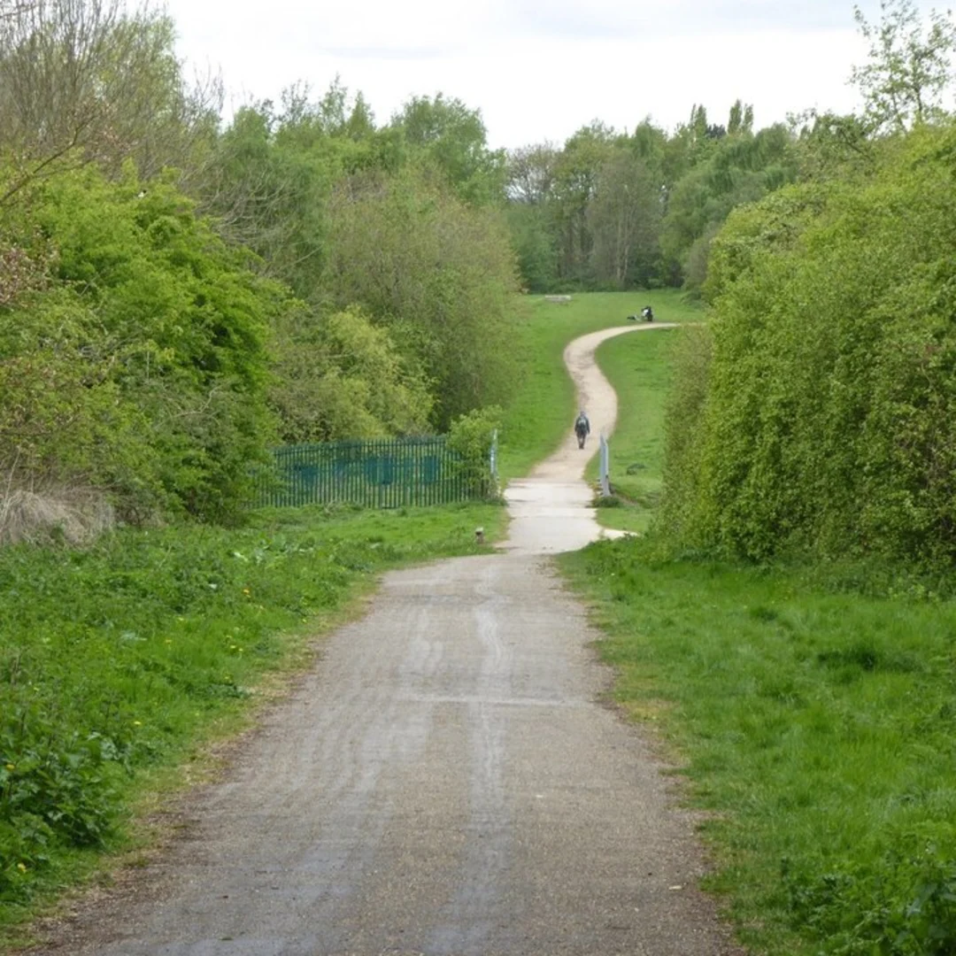 An image depicting the trail Bestwood Country Park Loop and its surrounding area.