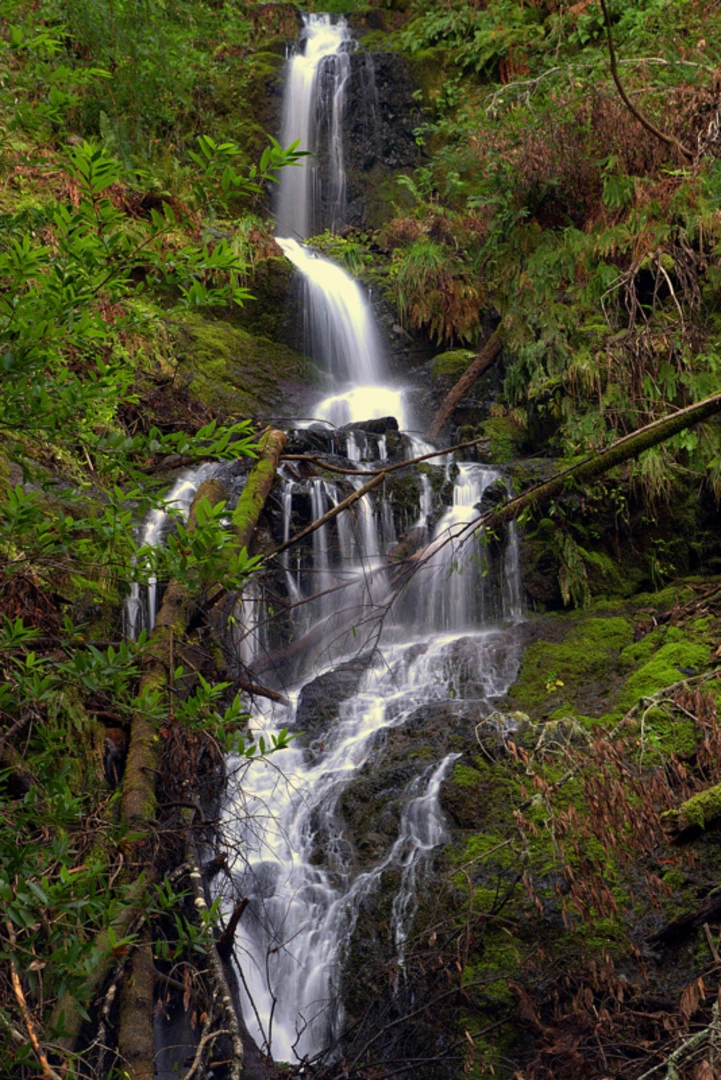 An image depicting the trail Devil's Gulch Campsite via Bill's Trail and its surrounding area.