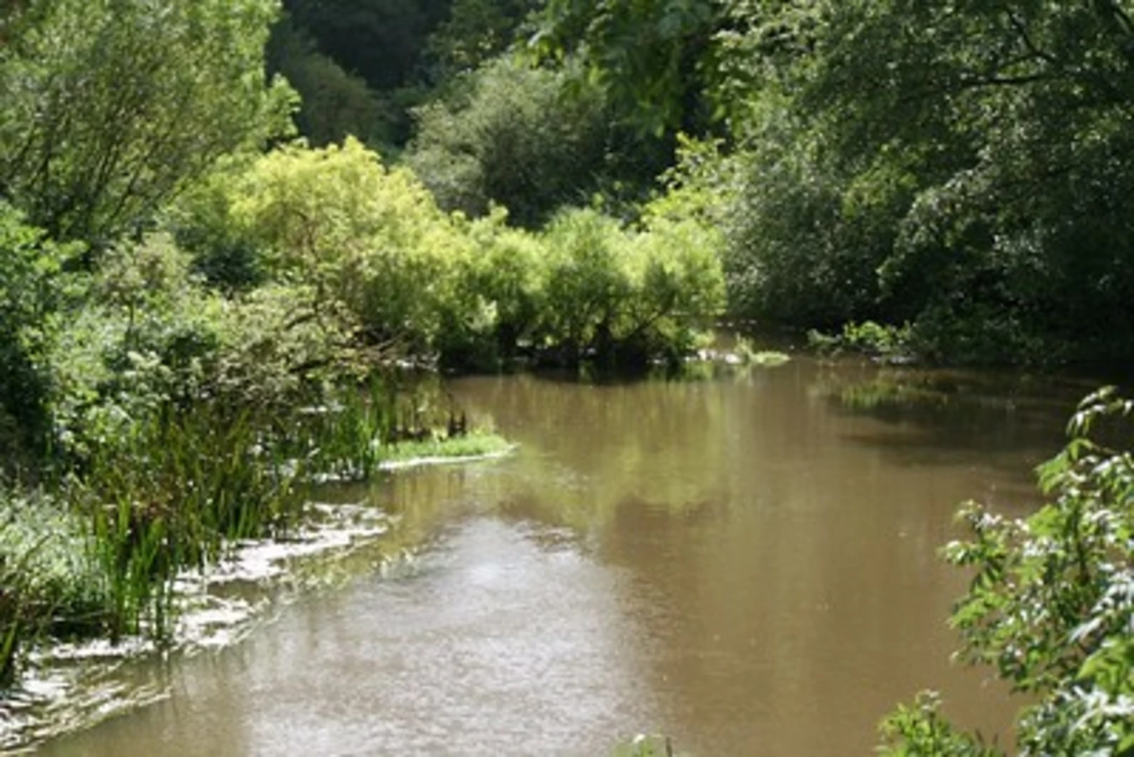 An image depicting the trail Attingham Park and Botanybay Plantation Loop and its surrounding area.