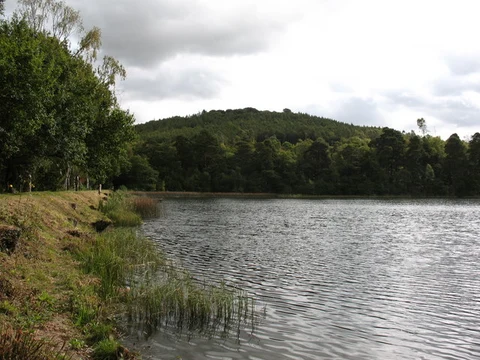 An image depicting the trail Yearsley Woods Loop and its surrounding area.