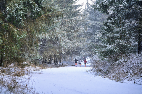 An image depicting the trail Run The Line Short Course 2022 and its surrounding area.