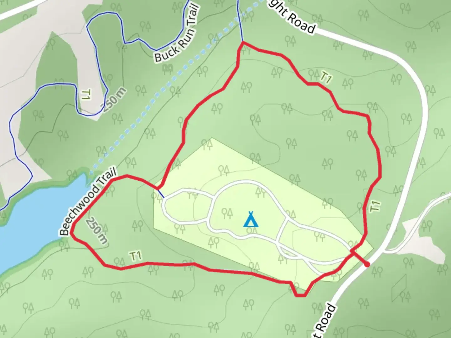 An image depicting the trail Beechwood Loop Trail and its surrounding area.