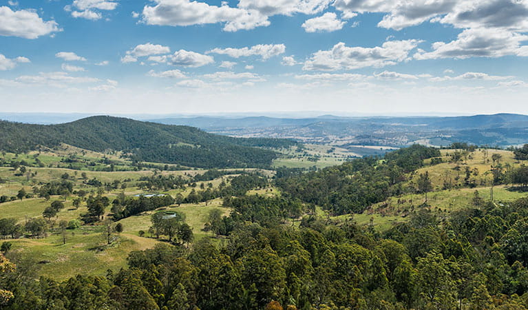 An image depicting the trail Tooloom National Park and its surrounding area.