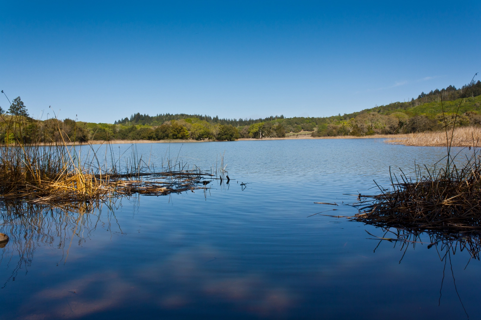 An image depicting the trail Warren Richardson Trail and its surrounding area.