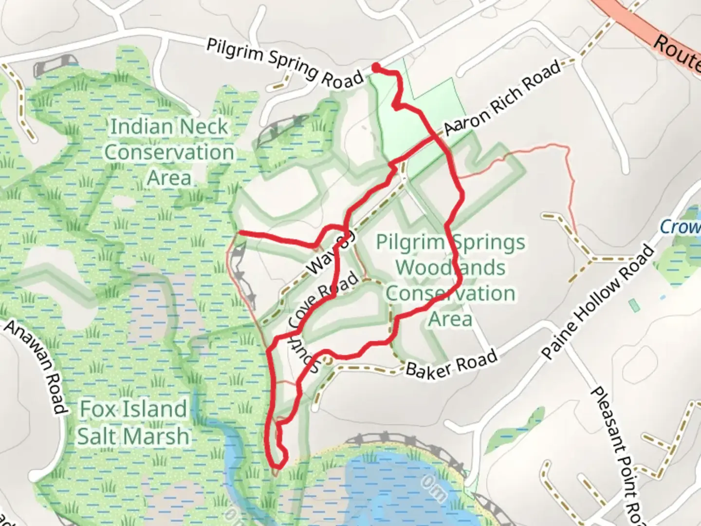 An image depicting the trail Pilgrim Springs Woodlands Conservation Area Loop and its surrounding area.