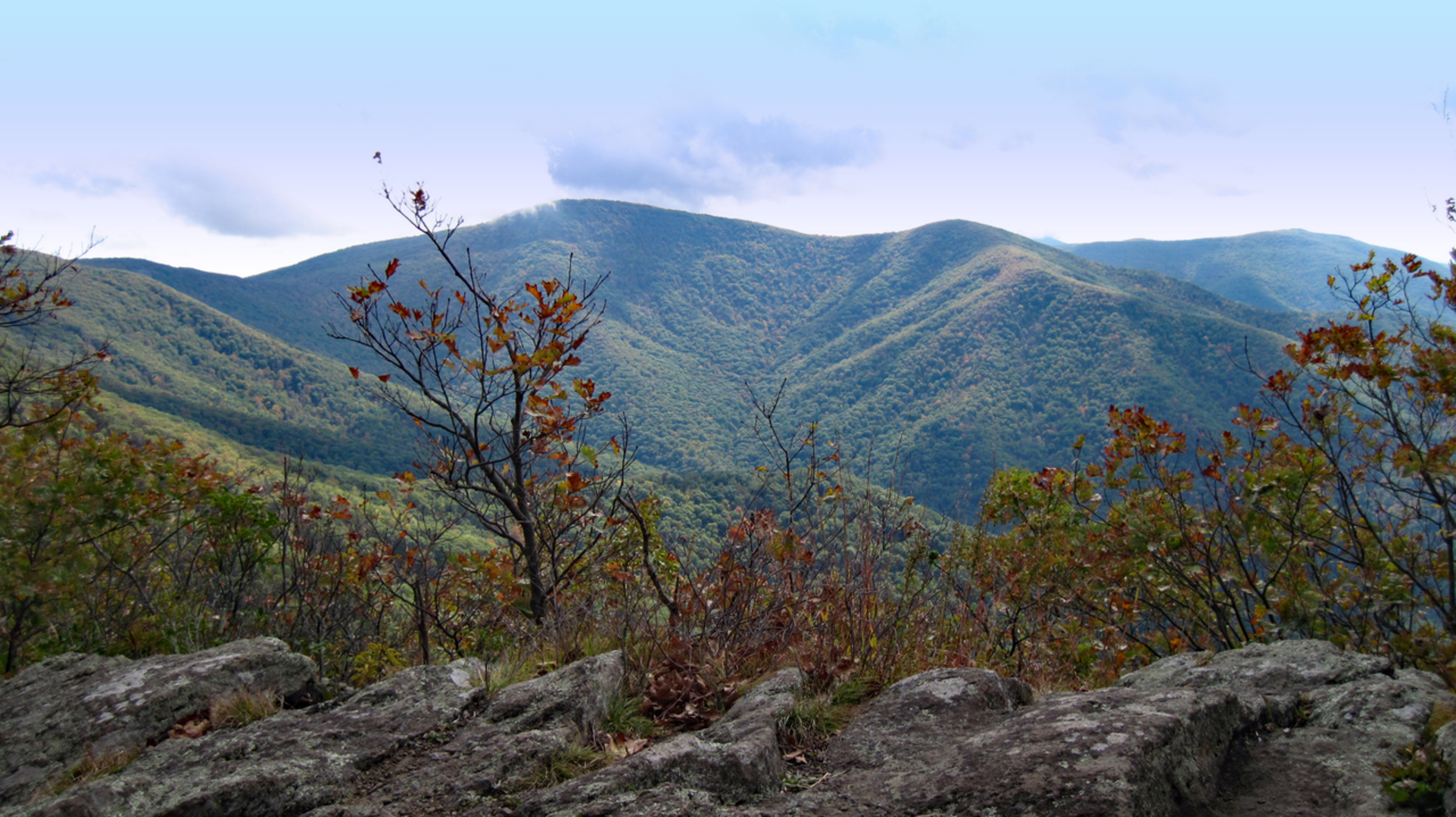 An image depicting the trail Millers Head Trail and its surrounding area.