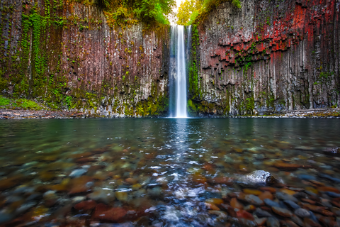 An image depicting the trail Abiqua Falls Trail and its surrounding area.