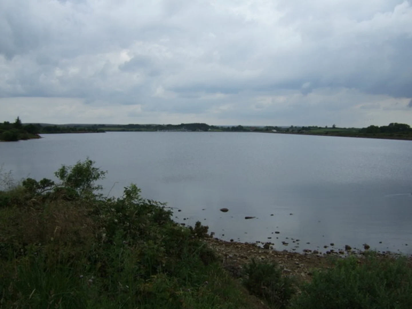 An image depicting the trail Scaling Dam Loop and its surrounding area.