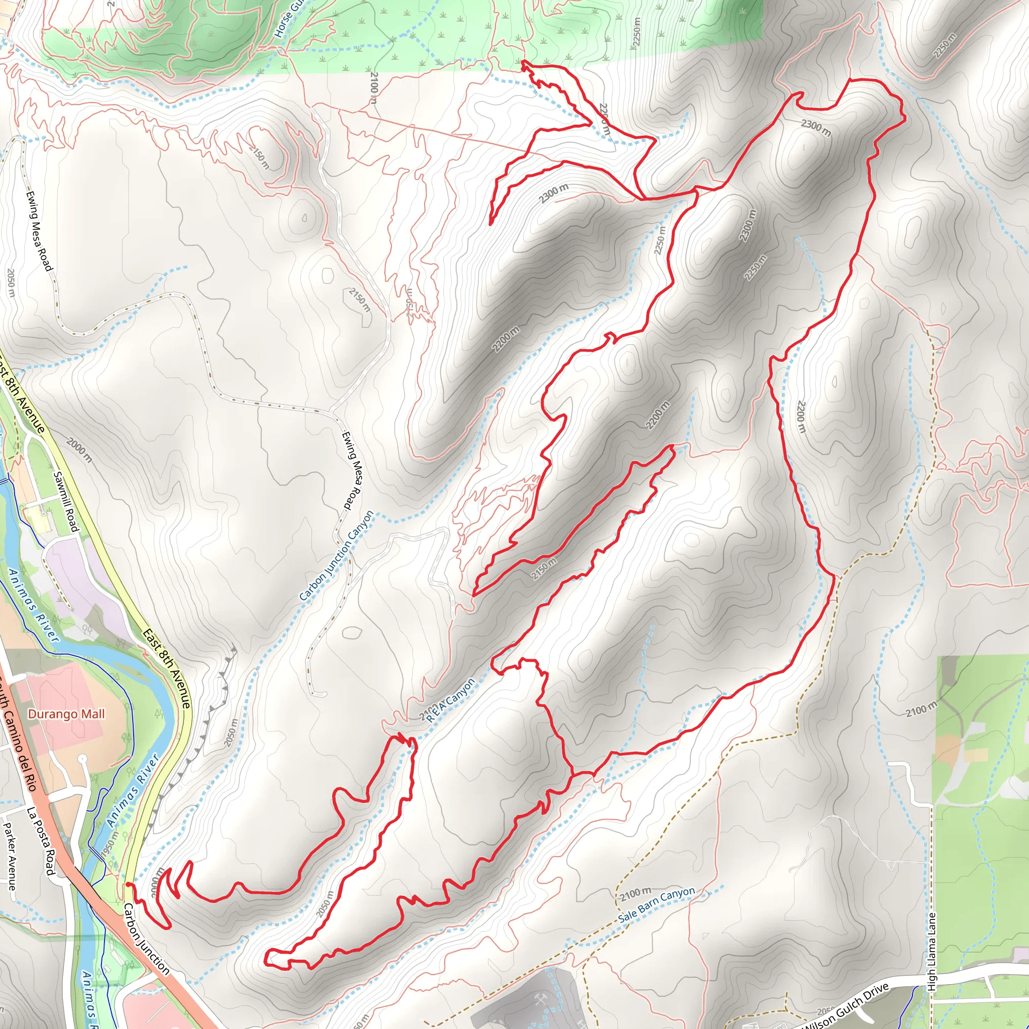 South Rim and Telegraph Loop Trail from Carbon Junction mobile static map
