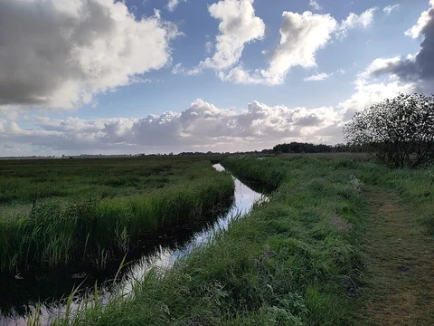 Uitzichttoren and Headammen Loop