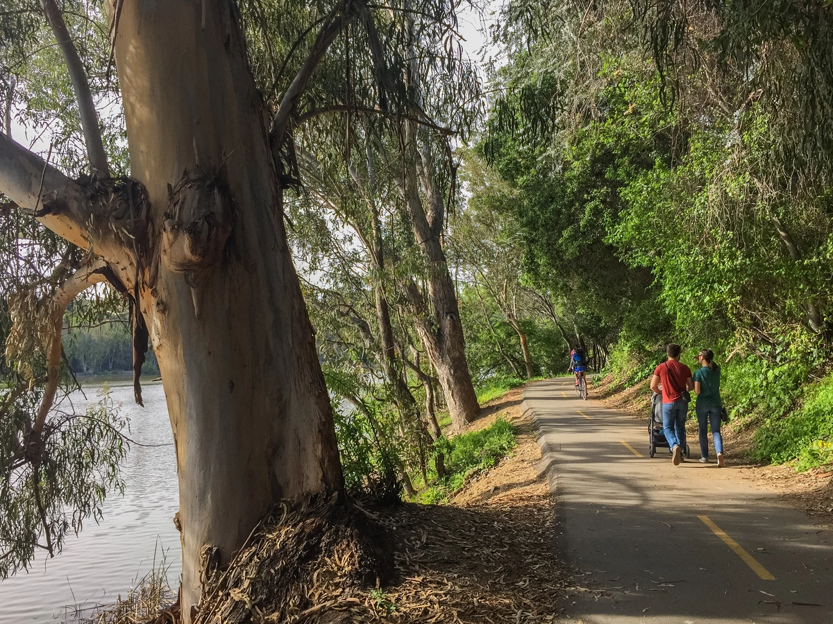 Los Gatos Creek Trail