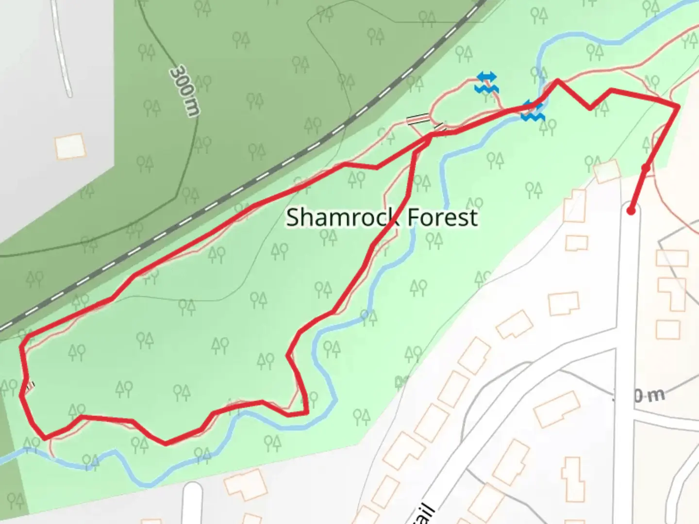 An image depicting the trail Burnt Fork Creek Loop and its surrounding area.