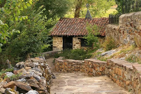 Fossil Forest Trail PR P 9