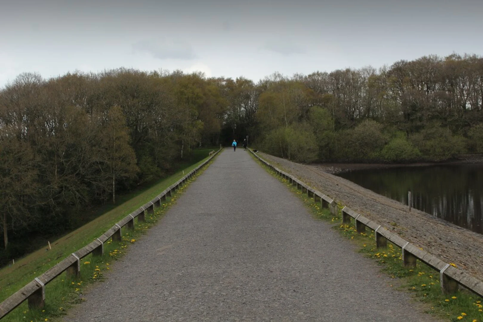 An image depicting the trail Rake Brook Reservoir, Lower Roddlesworth Reservoir and Upper Roddlesworth Reservoir Loop and its surrounding area.