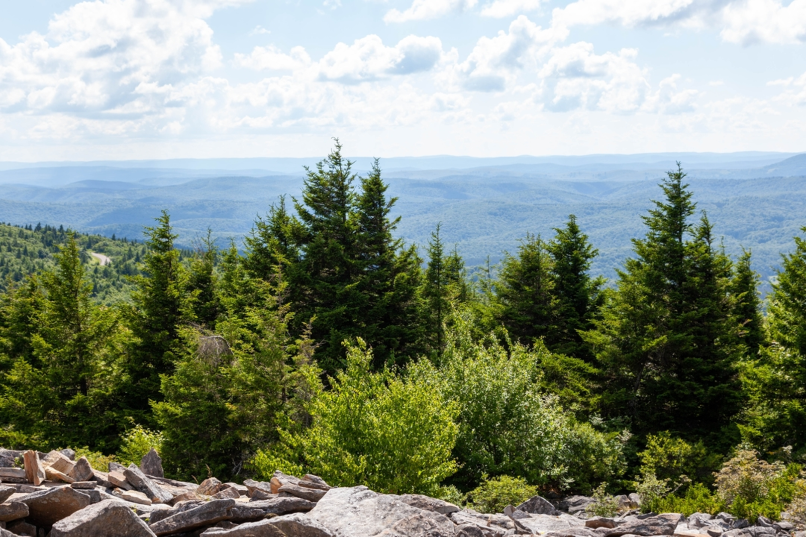 An image depicting the trail Bee Trail and its surrounding area.