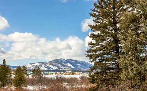An image depicting the trail Fraser River Trail and its surrounding area.