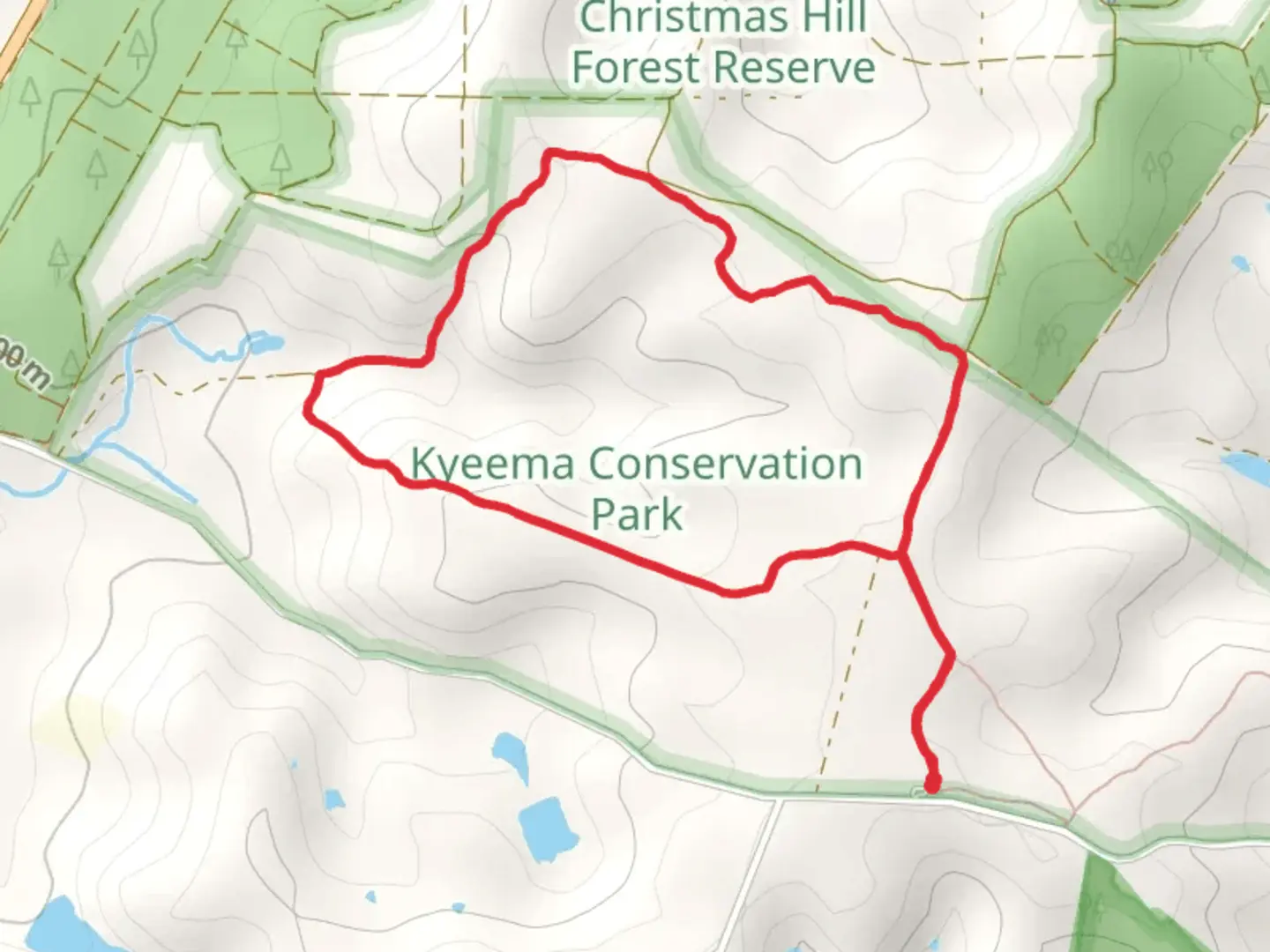 An image depicting the trail Myrtaceae Hike and its surrounding area.