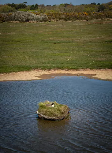 Keyhaven Marshes Walk