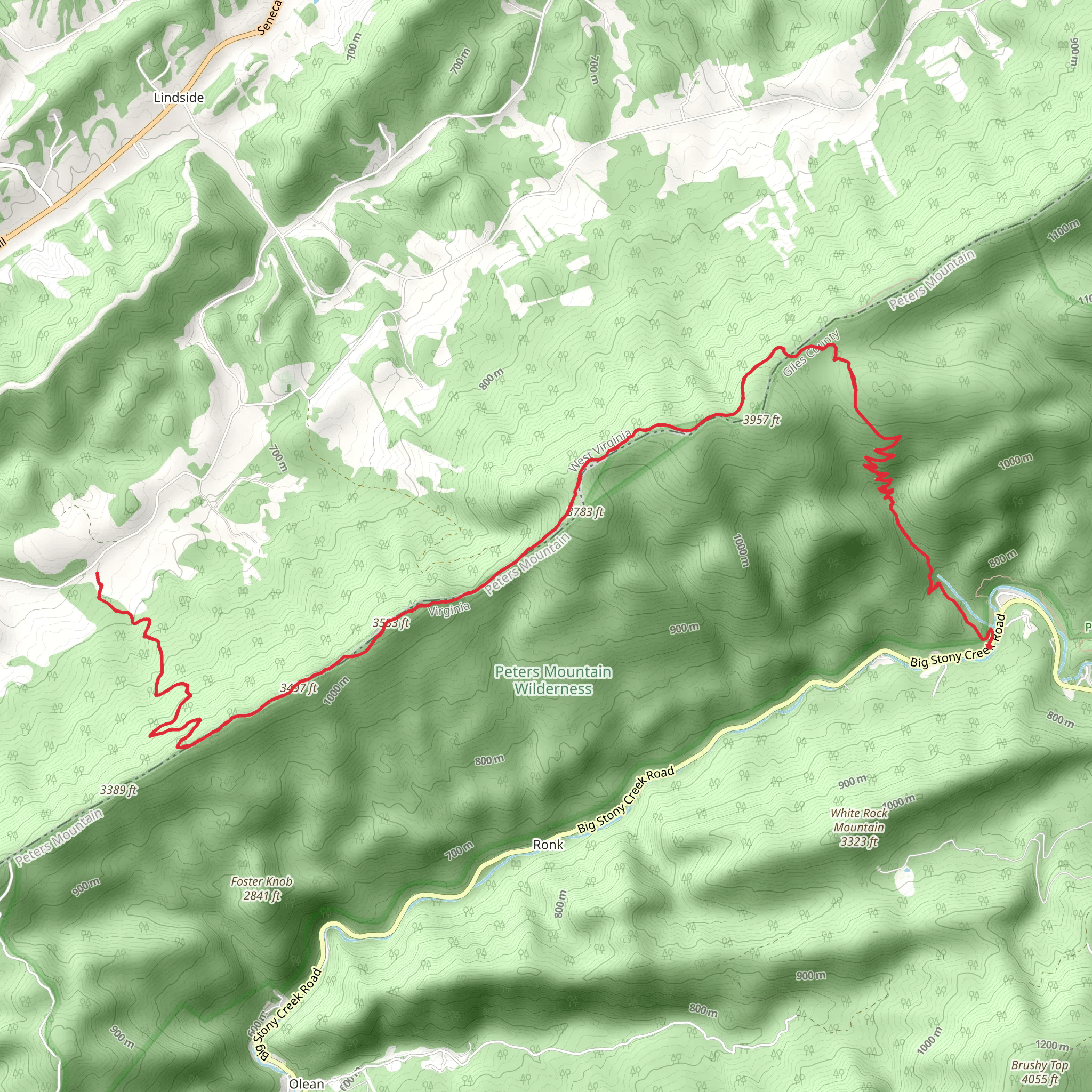 Appalachian, Dickinson Gap and Groundhog Trail mobile static map