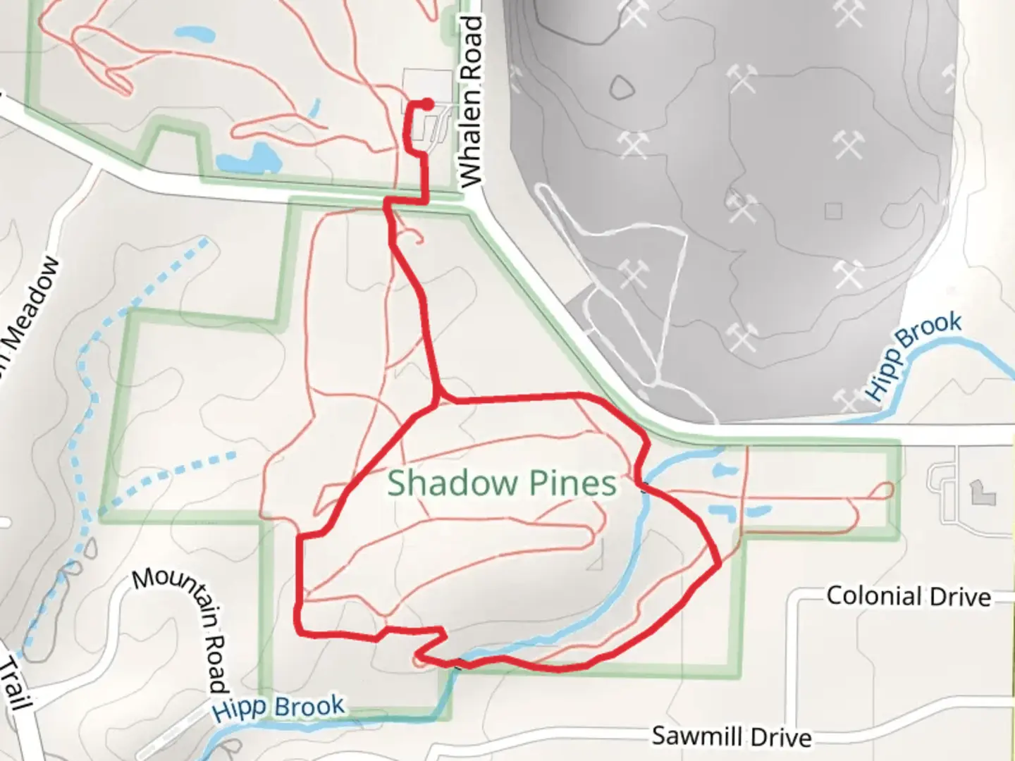 An image depicting the trail Hipp Brook Loop Trail from Whalen Road and its surrounding area.