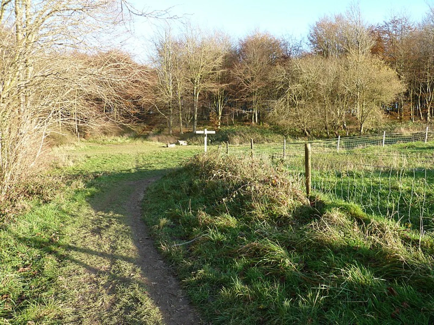 An image depicting the trail Stoughton - Kingley Vale and Bow Hill from Stoughton Down and its surrounding area.