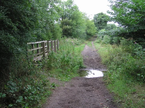 Brafferton Country Park Loop