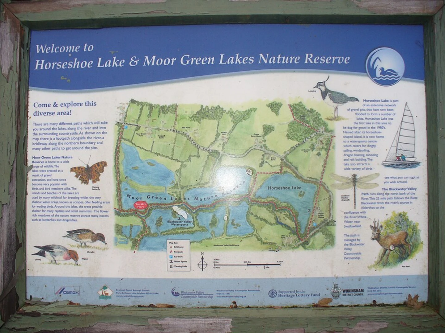 An image depicting the trail Moor Green Lakes Nature Reserve Loop and its surrounding area.