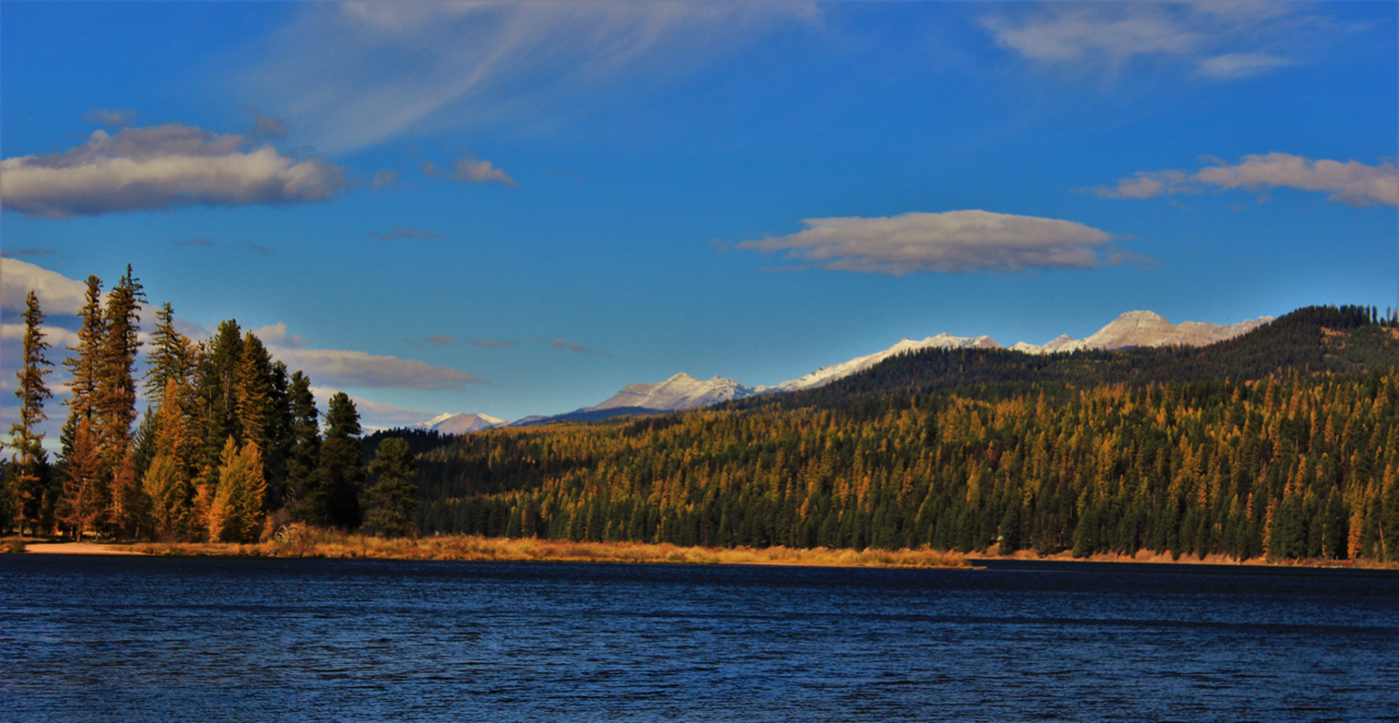 An image depicting the trail Boyscout Trail A and its surrounding area.