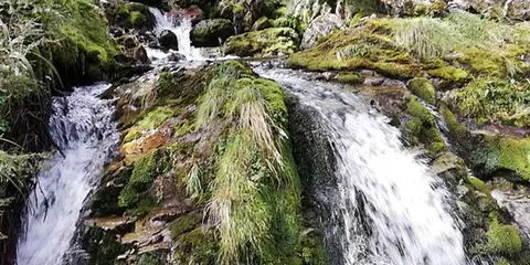 An image depicting the trail Deadmans Track and its surrounding area.