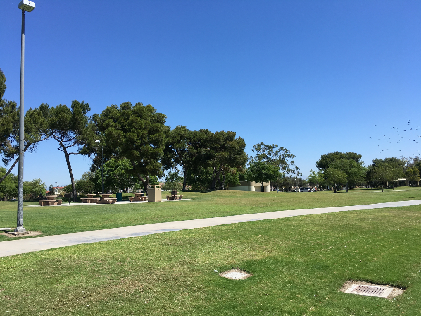 An image depicting the trail Don Knabe Community Regional Park Loop and its surrounding area.