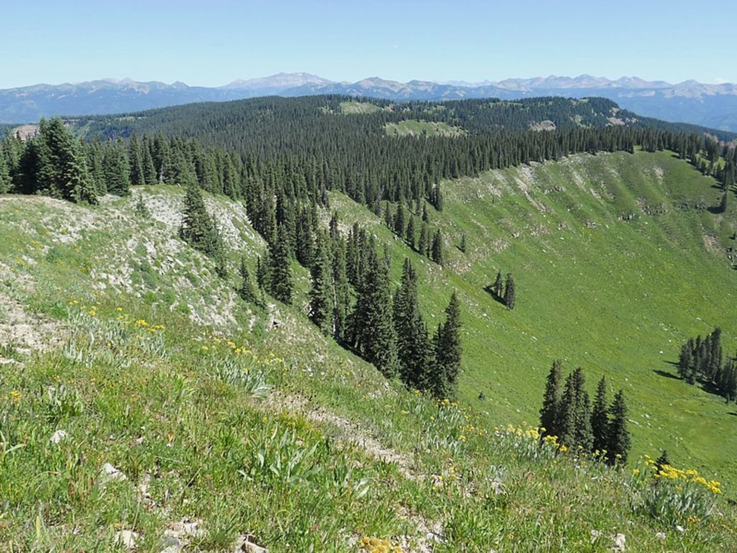An image depicting the trail Beartown Trail and its surrounding area.