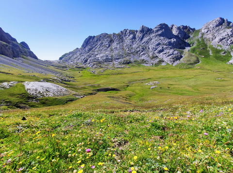 An image depicting the trail Vega de Liordes PR PNPE 25 and its surrounding area.