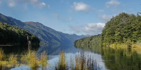 An image depicting the trail Borland Road - Green Lake Hut - Lake Monowai Car Park and its surrounding area.