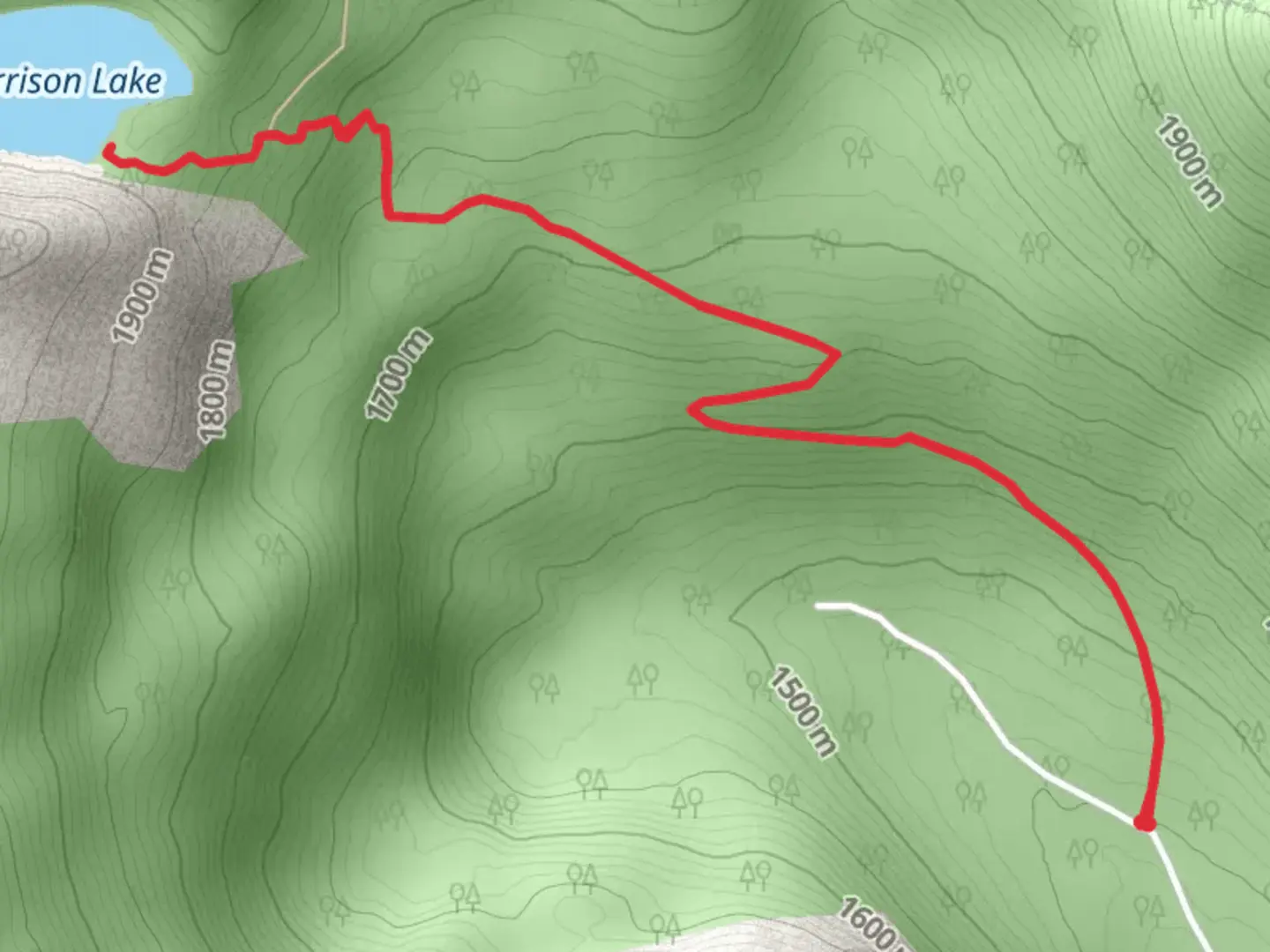 An image depicting the trail Harrison Lake and its surrounding area.