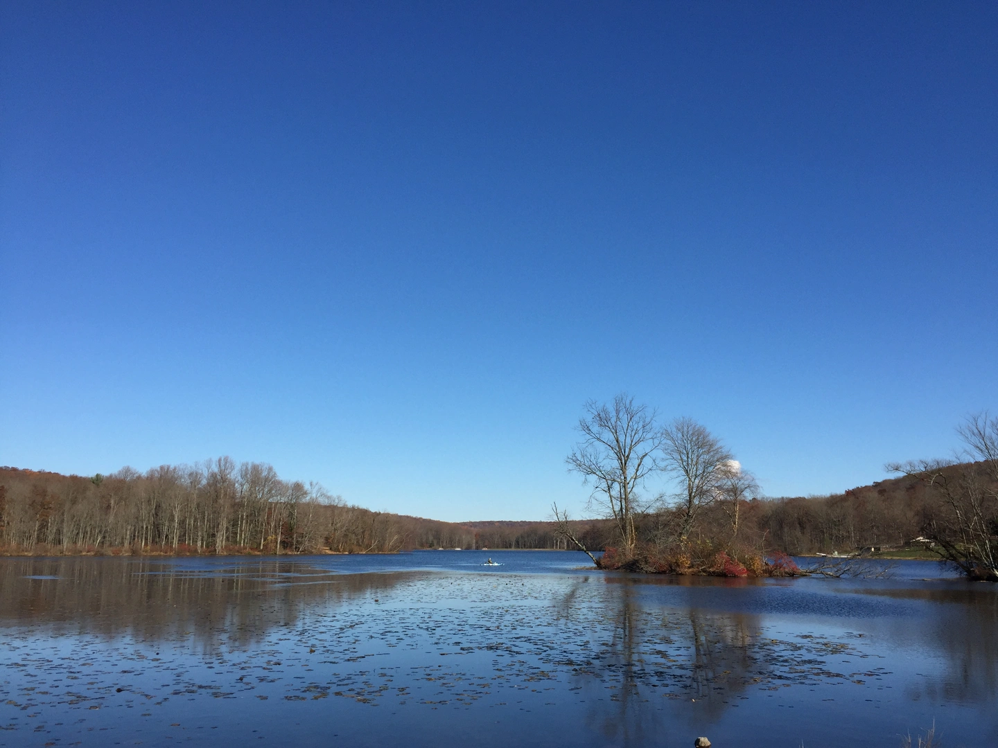 An image depicting the trail Boone Trail via Scott Run Lake and its surrounding area.