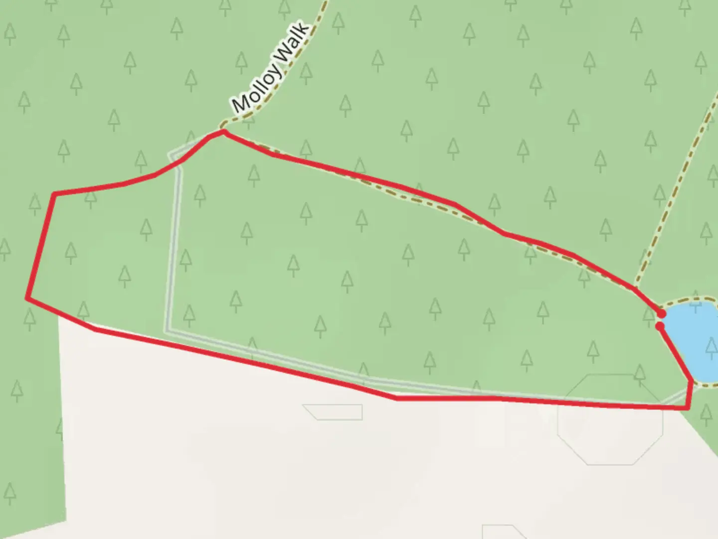 An image depicting the trail Rathwood Honeypot Nature Trail and its surrounding area.