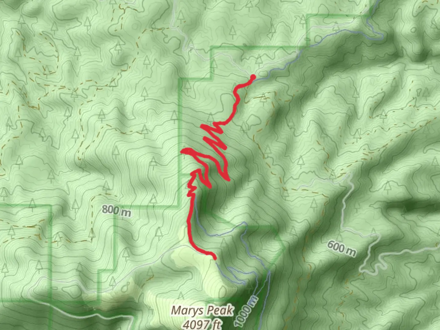 An image depicting the trail North Ridge Trail and its surrounding area.