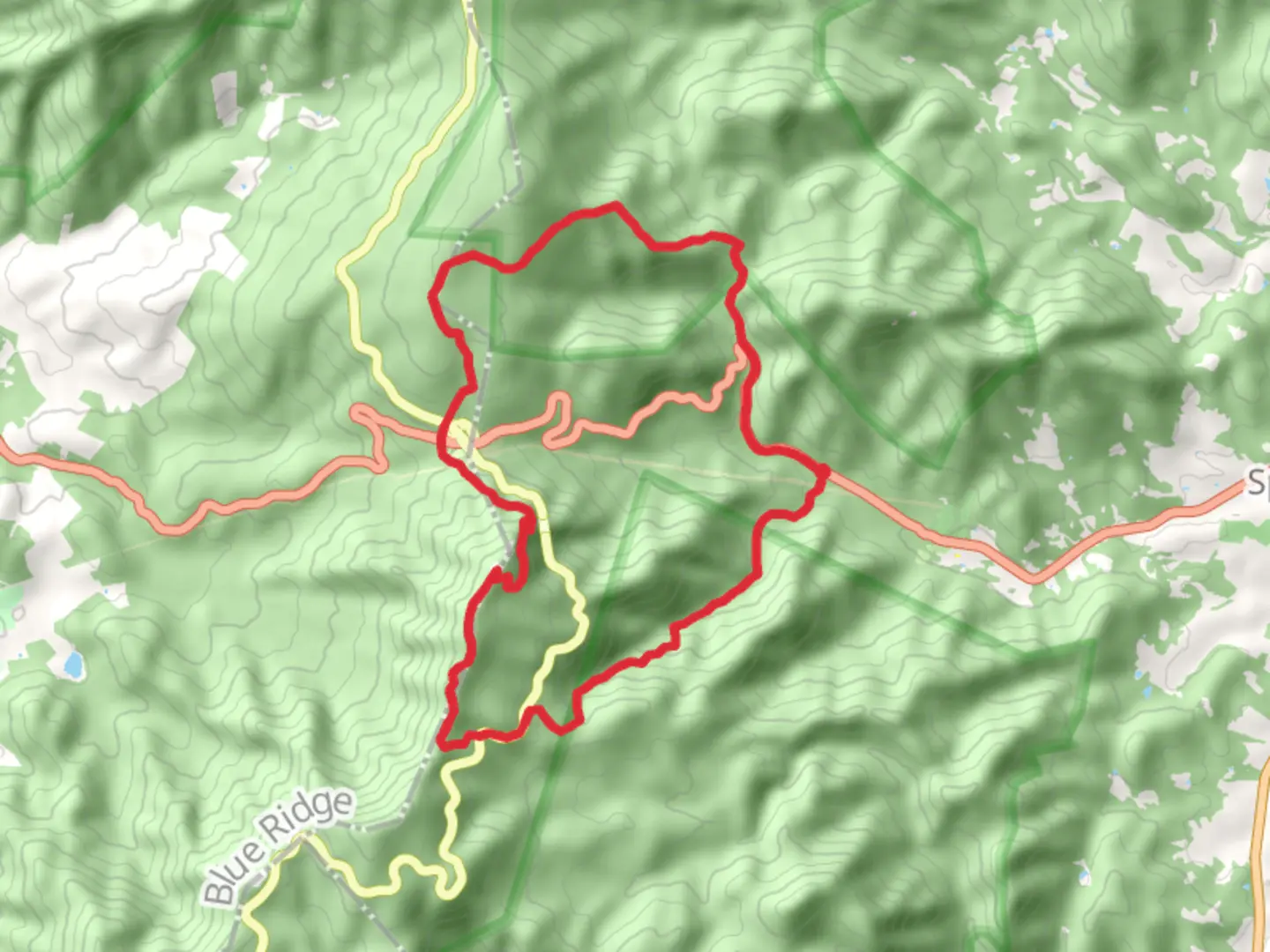 An image depicting the trail Buck Ridge - Pass Mountain- Marys Rock Loop and its surrounding area.