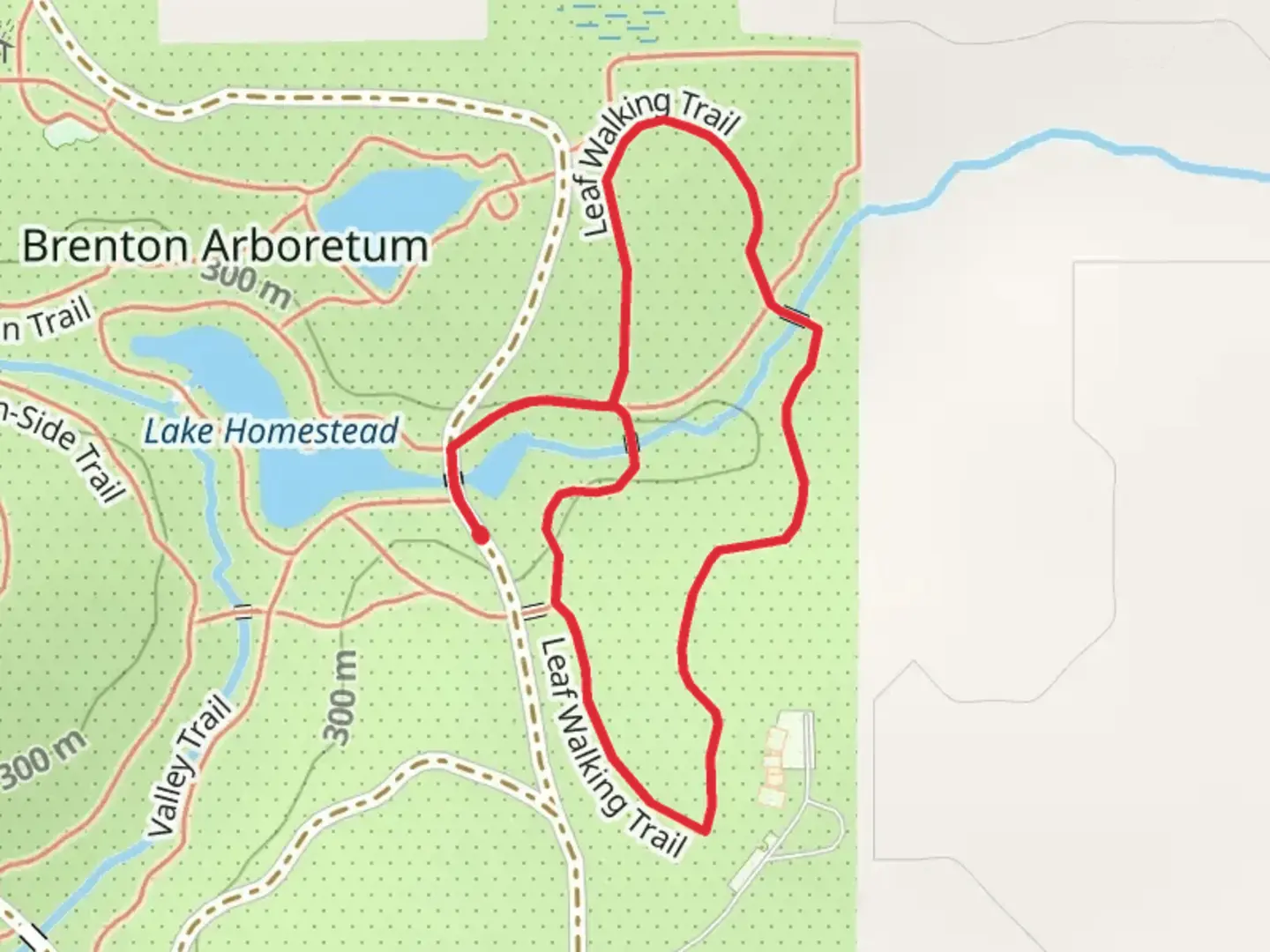 An image depicting the trail Leaf Walking Loop Trail and its surrounding area.