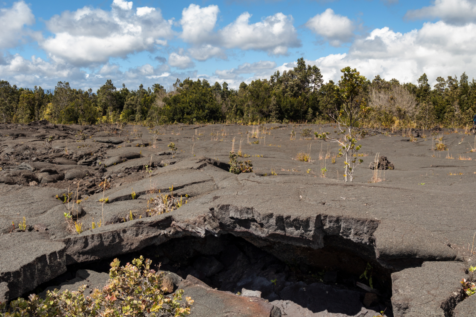 An image depicting the trail Keauhou Trail and its surrounding area.