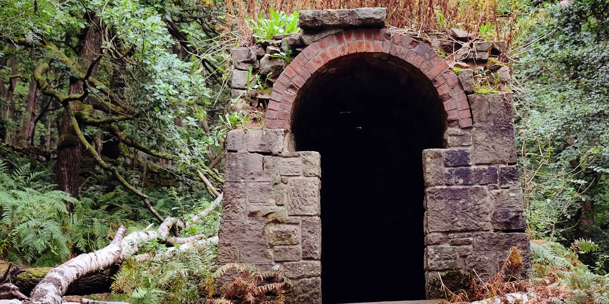 An image depicting the trail Bole Hill - Higger Tor and Padley Gorge and its surrounding area.