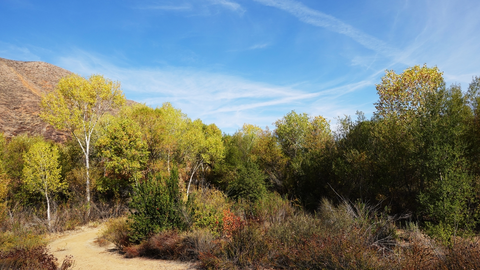 An image depicting the trail Silverado Canyon Trail and its surrounding area.